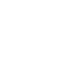 Rubbish collection Chiswick W4